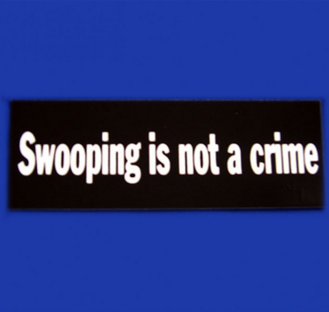 SWOOPING IS NOT A CRIME